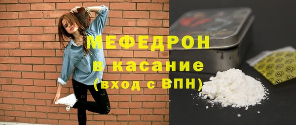 МДПВ Ельня